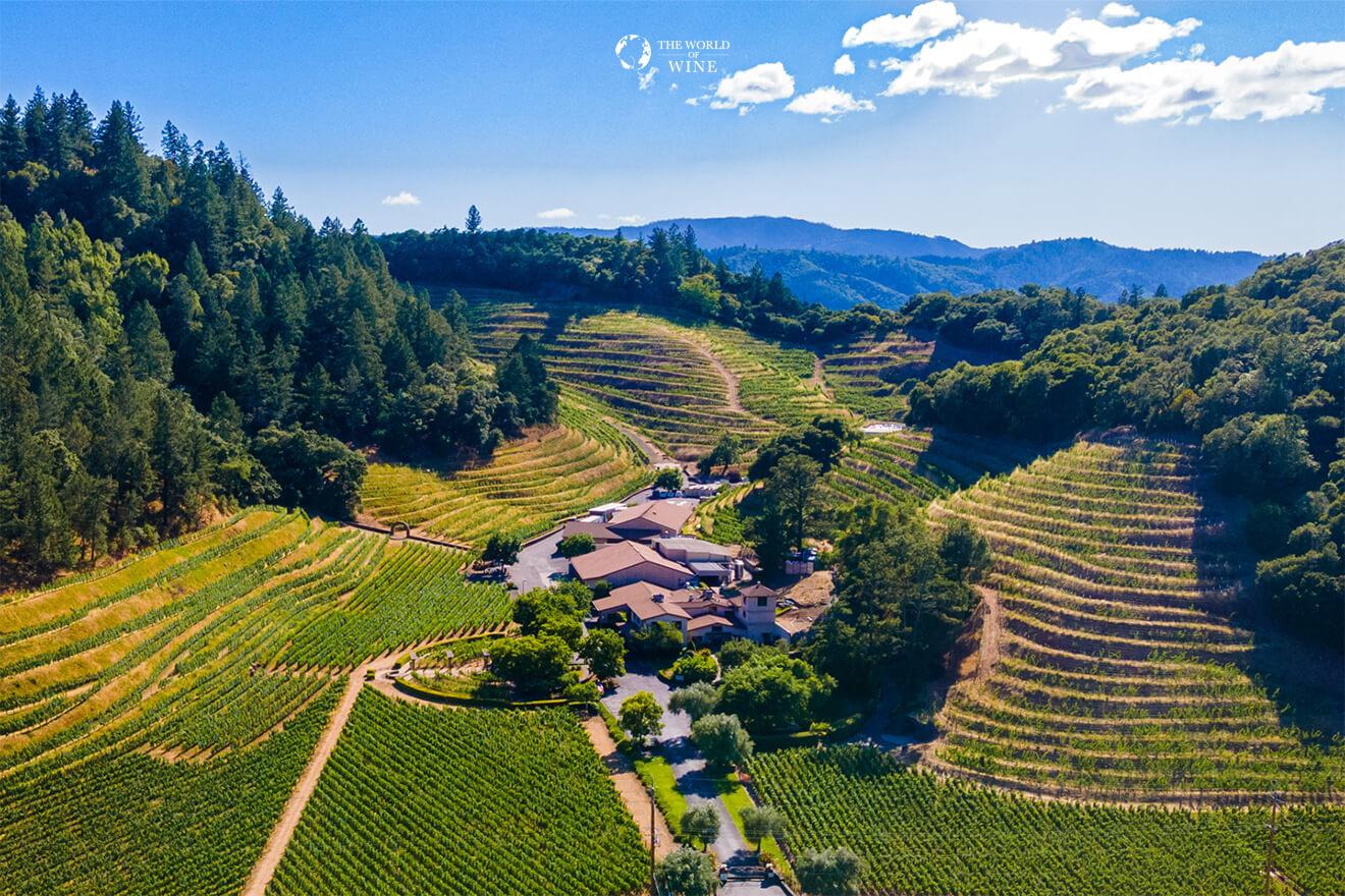 Napa Valley: Nơi phong cách California phóng khoáng gặp gỡ chiều sâu tinh tế trong từng giọt vang trẻ trung và đầy cảm hứng